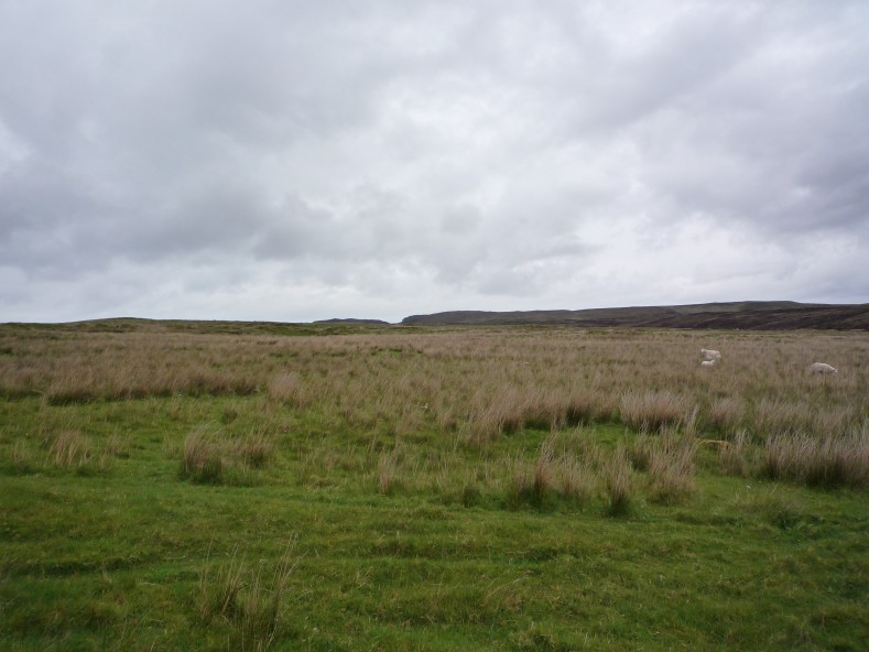 UK2010071