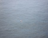 UK2010106