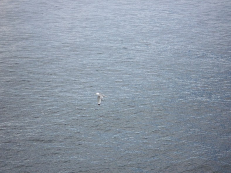 UK2010106