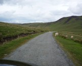 UK2010110
