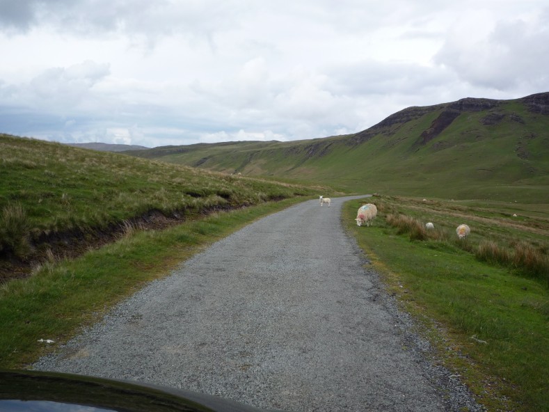 UK2010110