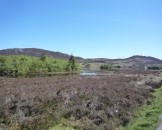 UK2010135
