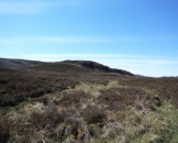 UK2010137