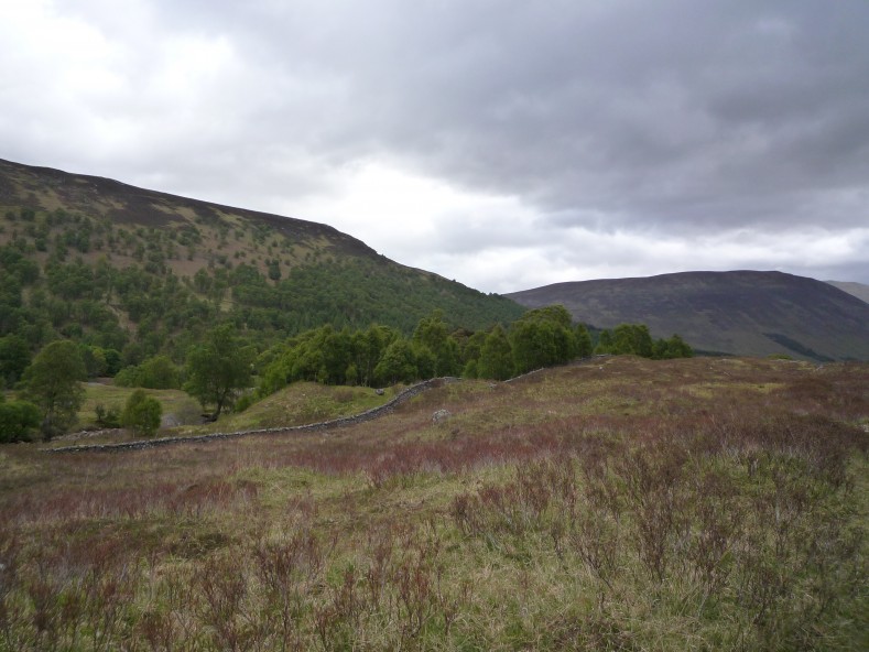 UK2010179