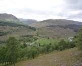 UK2010193