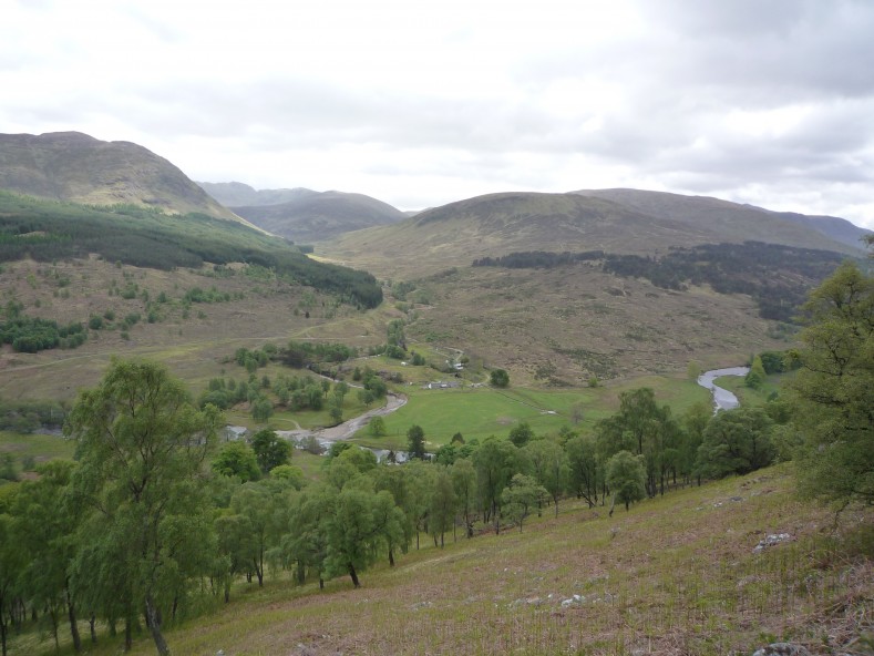 UK2010193