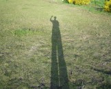 UK2010220