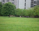 UK2010253