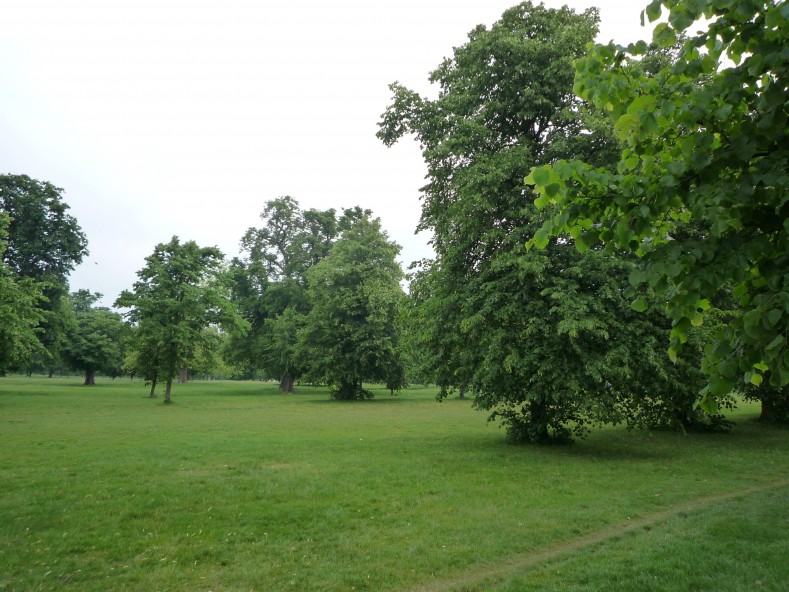 UK2010254
