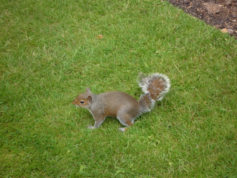 UK2010258
