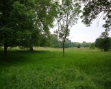 UK2010259