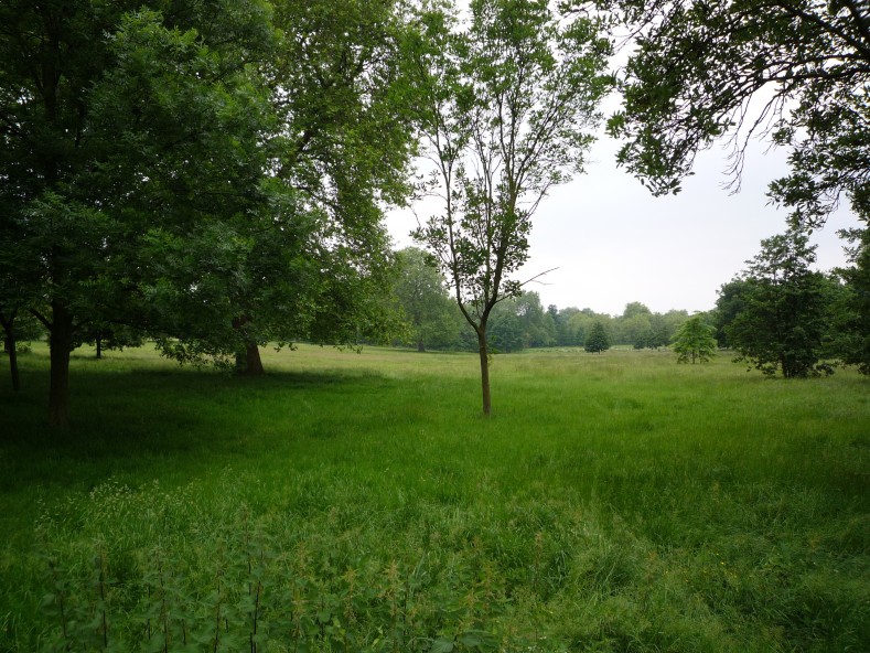 UK2010259