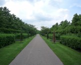 UK2010282
