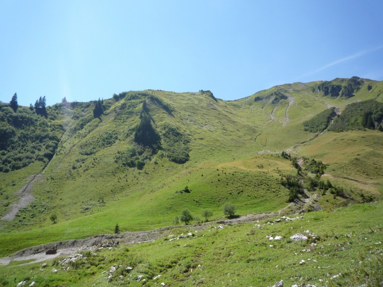 P1010961