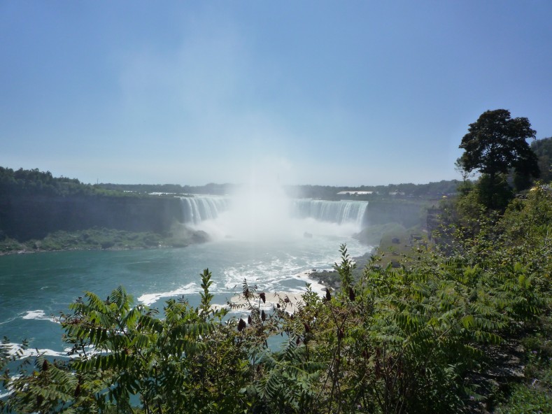 P1010990