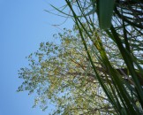 P1020031
