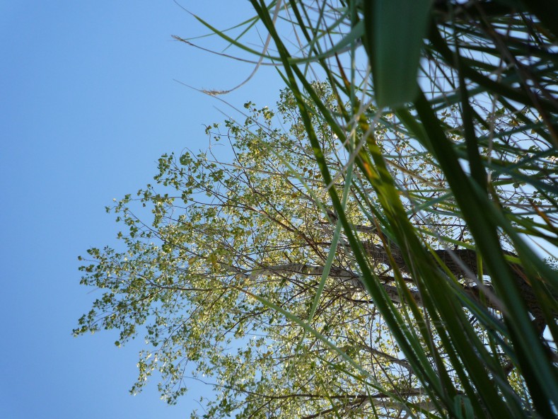 P1020031