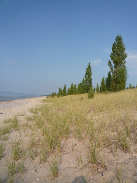 P1020067