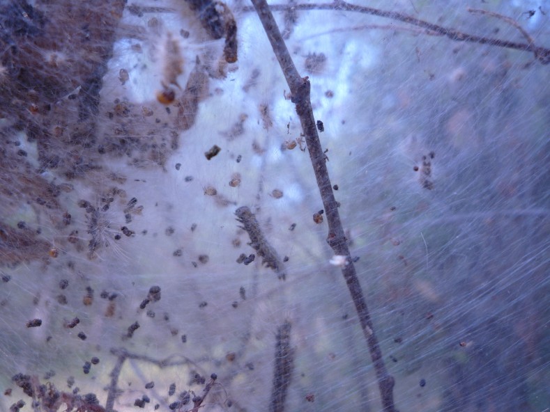 P1020099