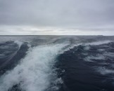 P1020215