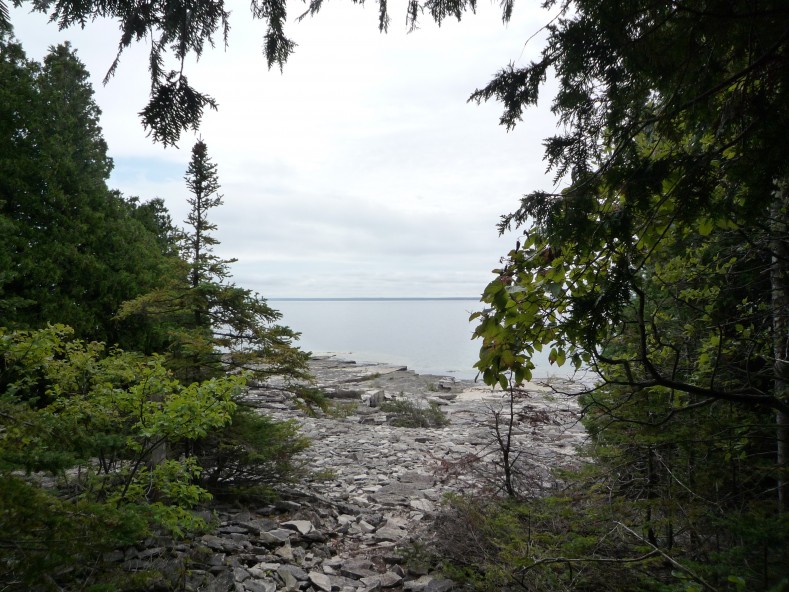 P1020236