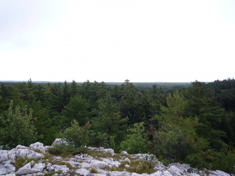 P1020364