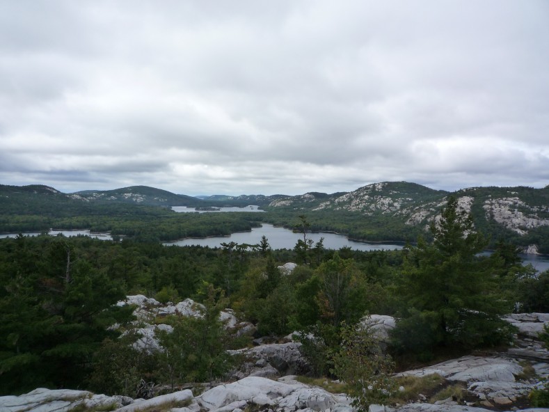P1020373