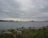 P1020481