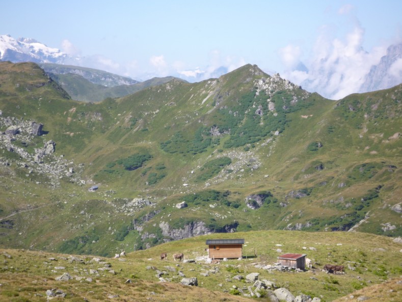 P1030001