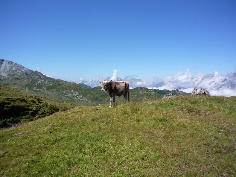 P1030005
