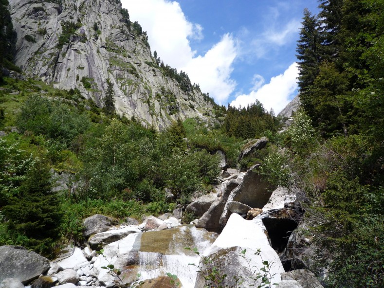 P1030036