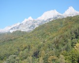 P1030234