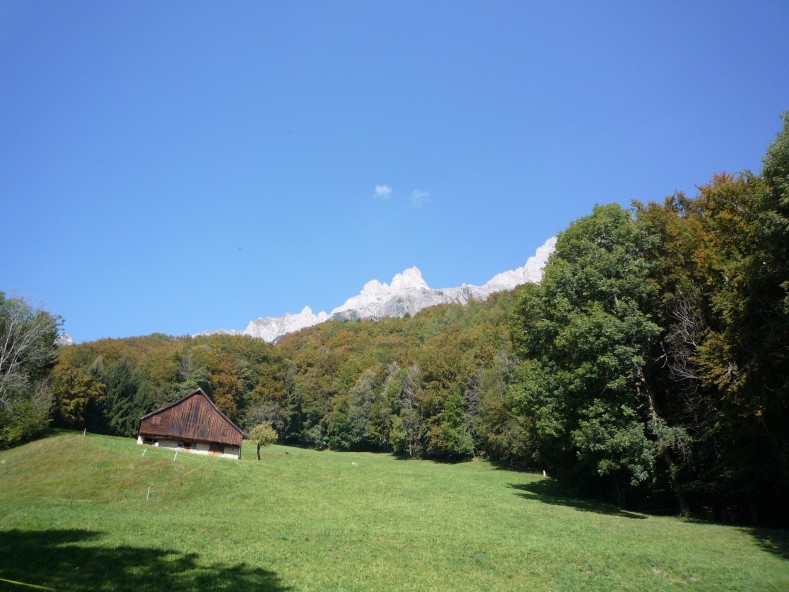 P1030241