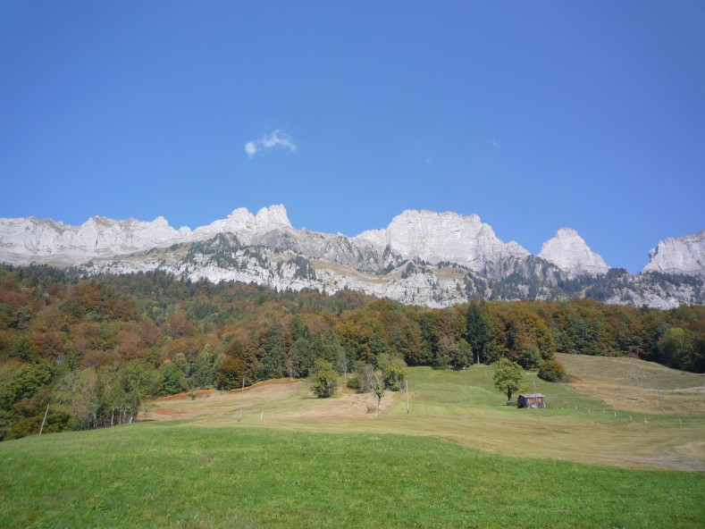 P1030248