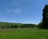 P1050232