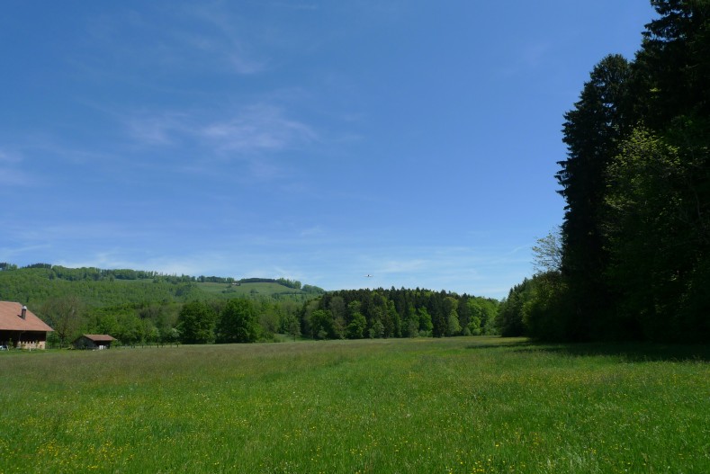 P1050232