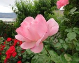 IMG_0104