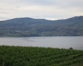 IMG_0107
