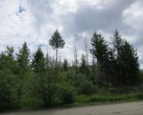 IMG_0119