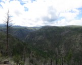 IMG_0128