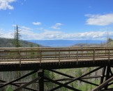 IMG_0175
