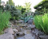 IMG_0192