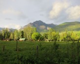 IMG_0200