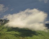 IMG_0201