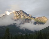 IMG_0222