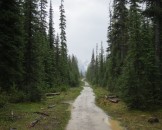 IMG_0268