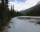 IMG_0278