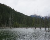 IMG_0292
