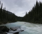 IMG_0329