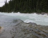 IMG_0330